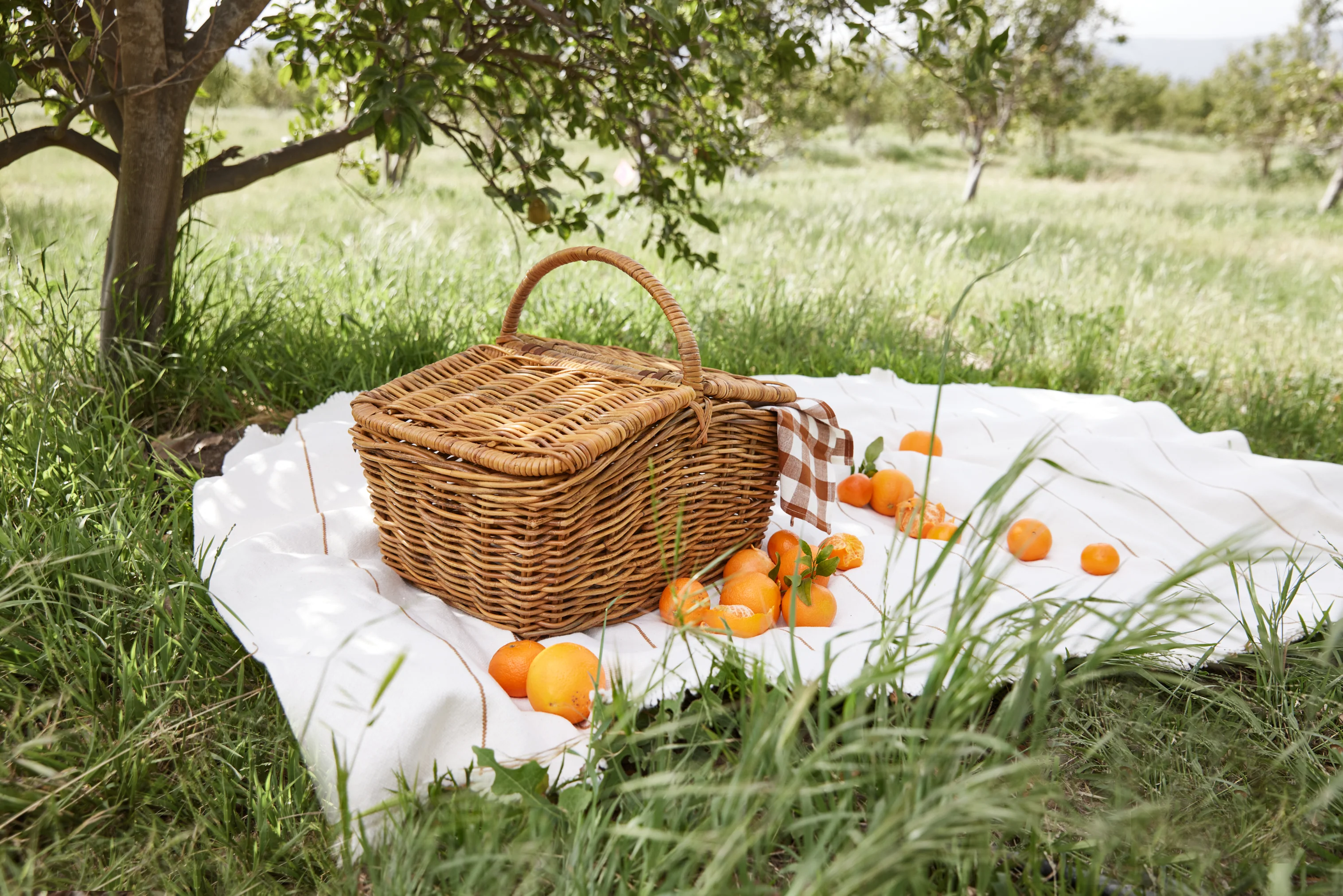 Natural Artistry for Your Home