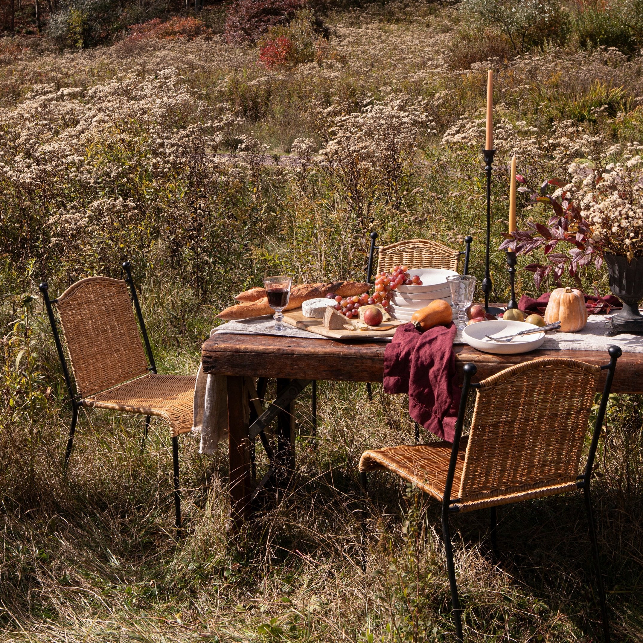 Lacoste Indoor/Outdoor Wicker Dining Chair - Image 5